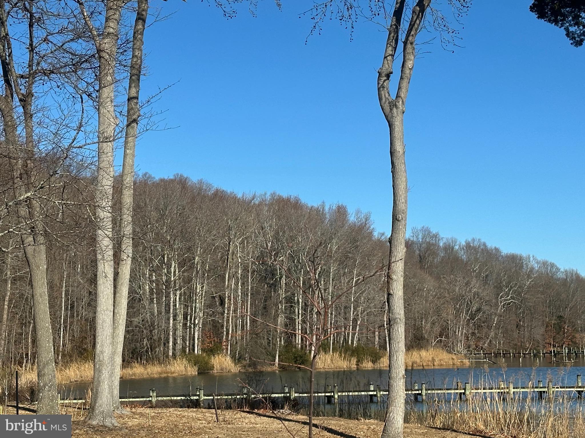 7740 Simms Landing Road Port Tobacco, MD 20677 - Photo 3 of 7 a view of a park with a tree in the background