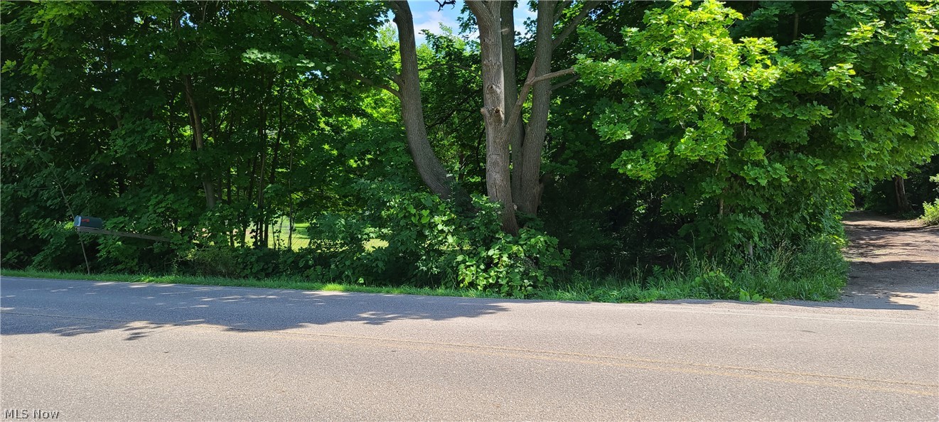 1342 Center Road Clinton, OH 44216 - Photo 7 of 9