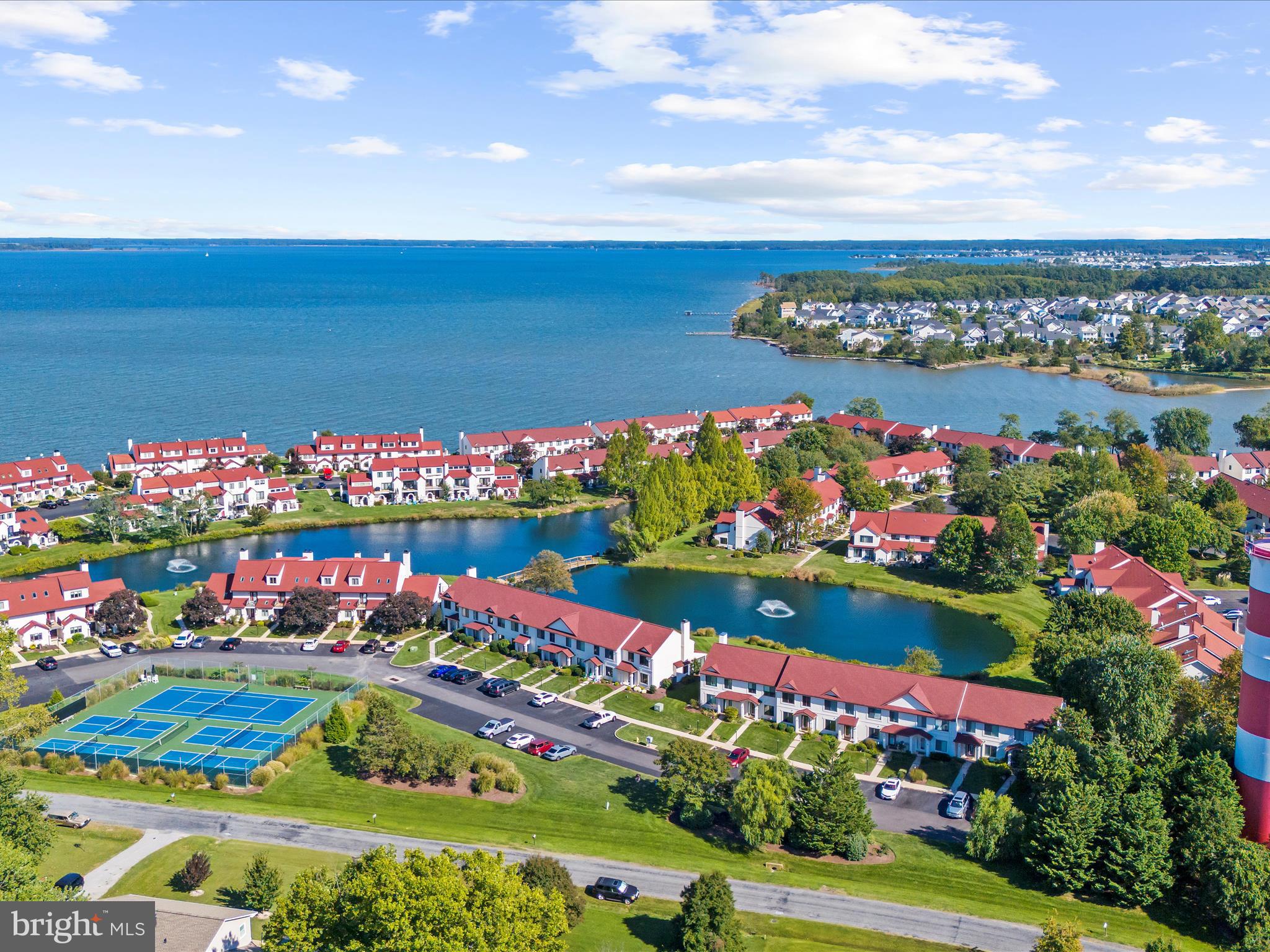 30 Queen Mary Court Chester, MD 21619 - Photo 52 of 60 a bunch of flowers in a back yard