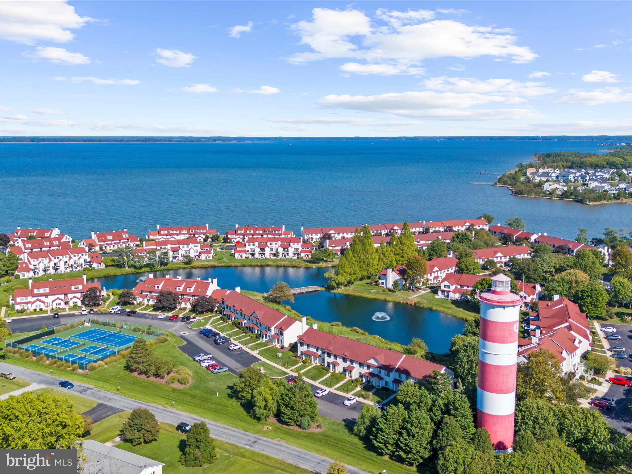 30 Queen Mary Court Chester, MD 21619 - Photo 55 of 60 a bunch of flowers in a lot with flowers