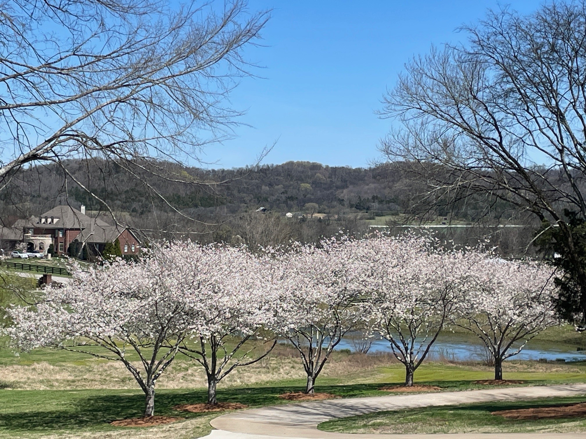 3235 Kinnard Springs Road Franklin, TN 37064 - Photo 5 of 99