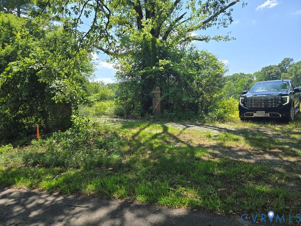 0 Mulberry Hill Road Randolph, VA 23962 - Photo 4 of 7