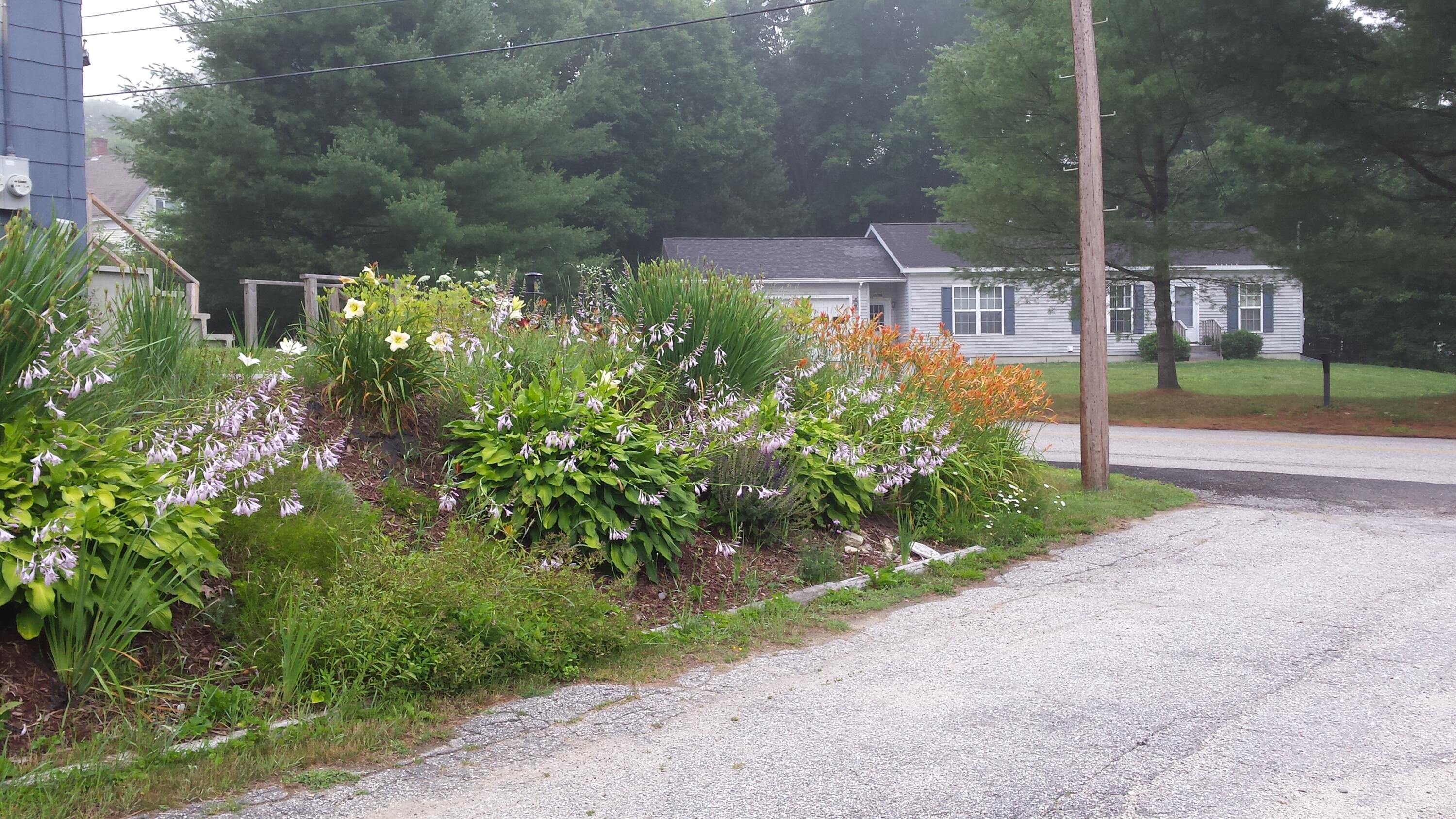 4 Pinewoods Road Lisbon, ME 04250 - Photo 32 of 34 Flowers from previous blooms