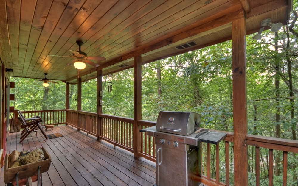 81 Buster Branch Road Blue Ridge, GA 30513 - Photo 15 of 30 Additional View