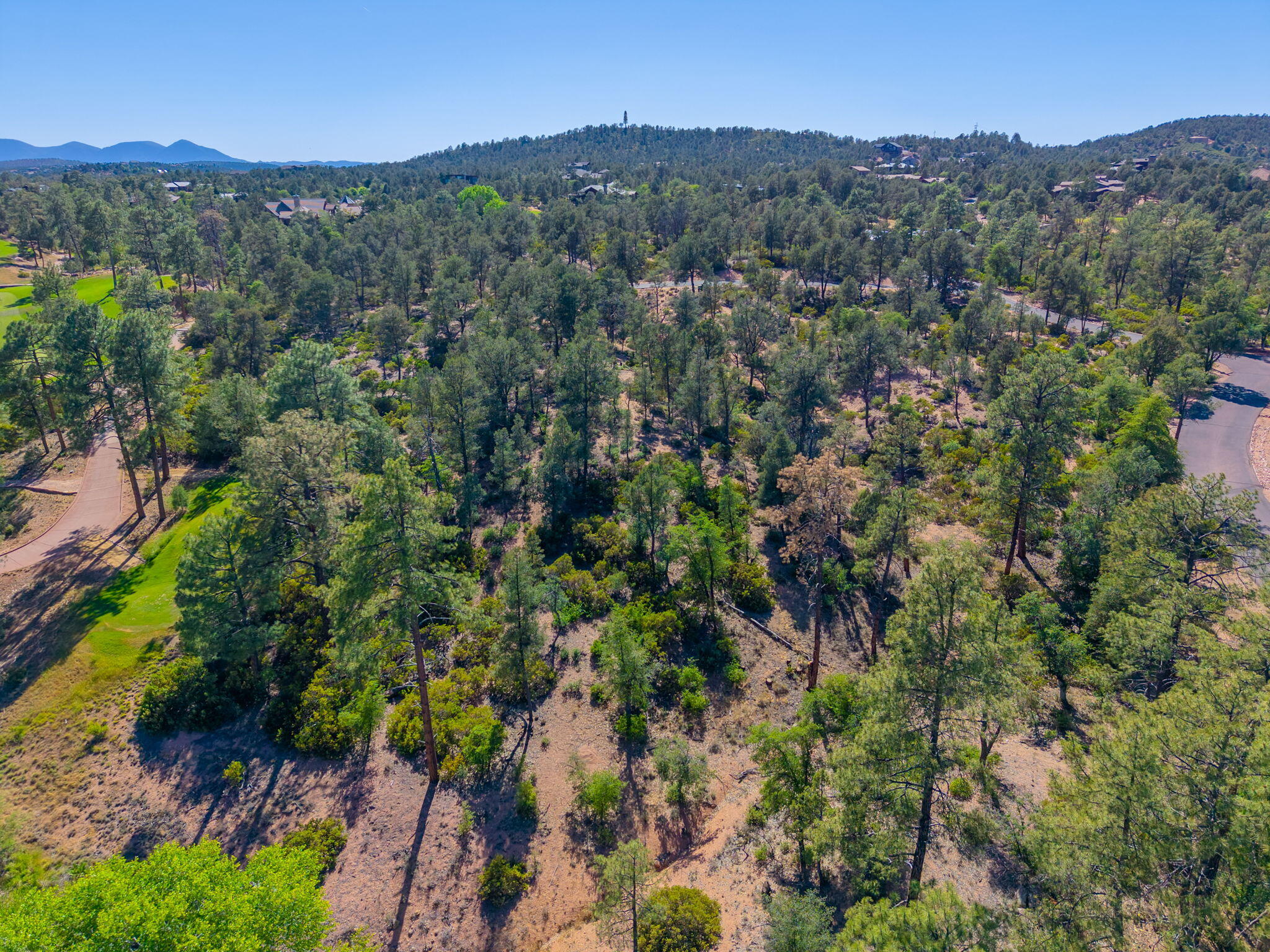 506 South Primeval Payson, AZ 85541 - Photo 12 of 48