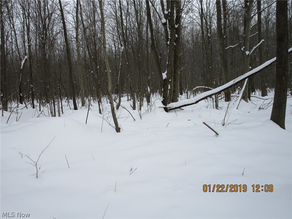 V / L Corrigan Road Rome, OH 44085 - Photo 5 of 11