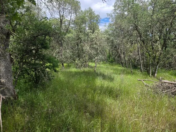 $77,000 | 12729 Wolf Road, Grass Valley, CA 95949