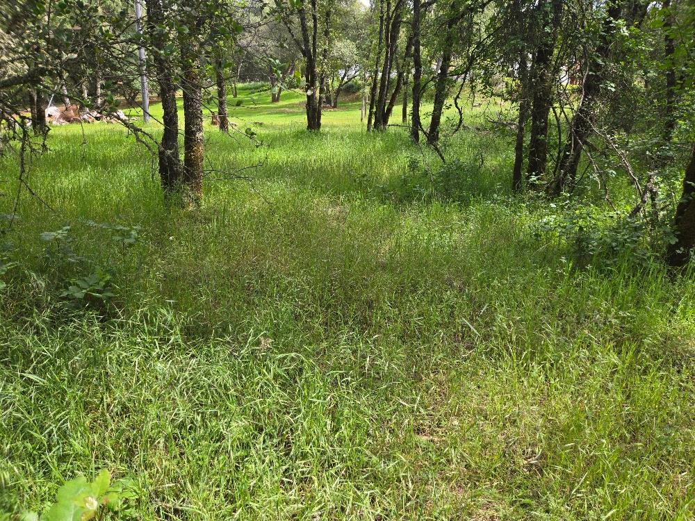 12729 Wolf Road Grass Valley, CA 95949 - Photo 3 of 6