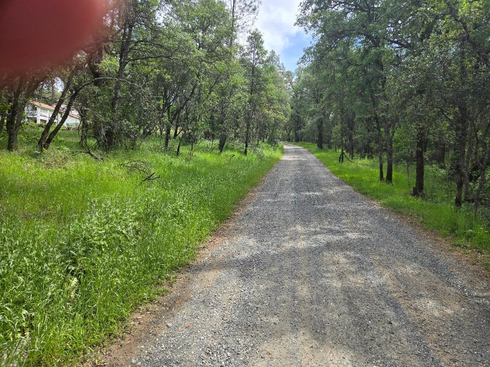 12729 Wolf Road Grass Valley, CA 95949 - Photo 5 of 6