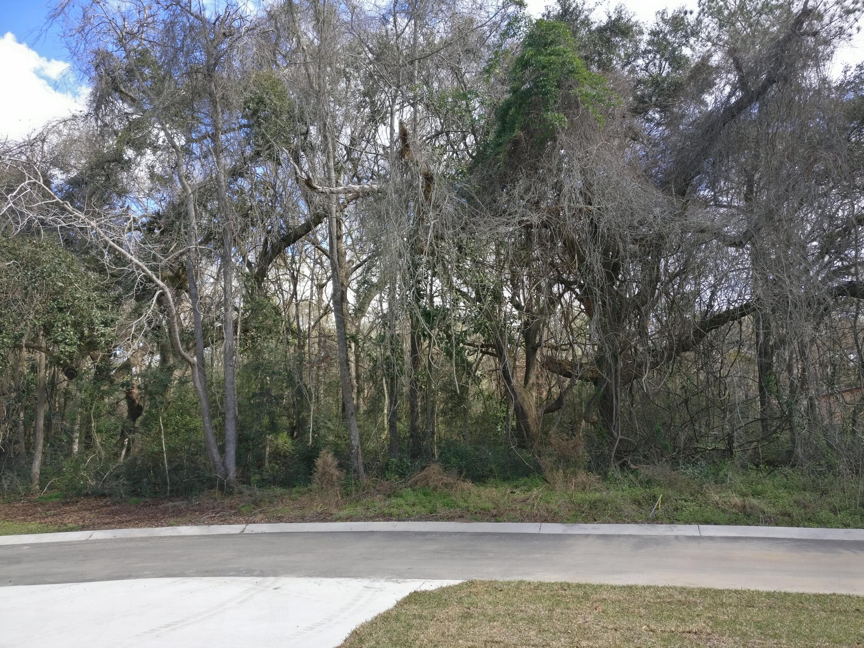1620 Emmets Road Johns Island, SC 29455 - Photo 2 of 10 IMG_20180223_135406