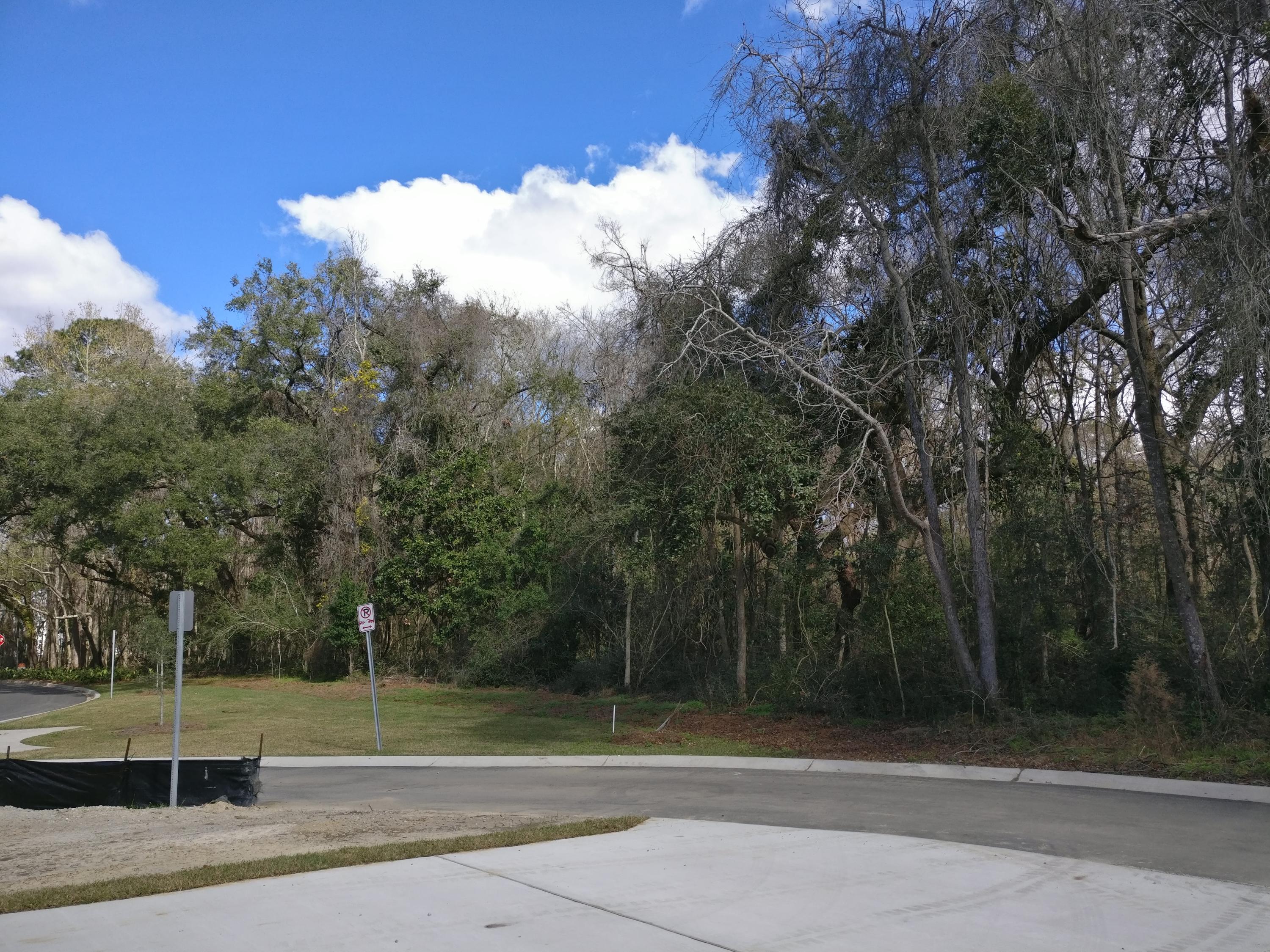 1620 Emmets Road Johns Island, SC 29455 - Photo 3 of 10 IMG_20180223_135409