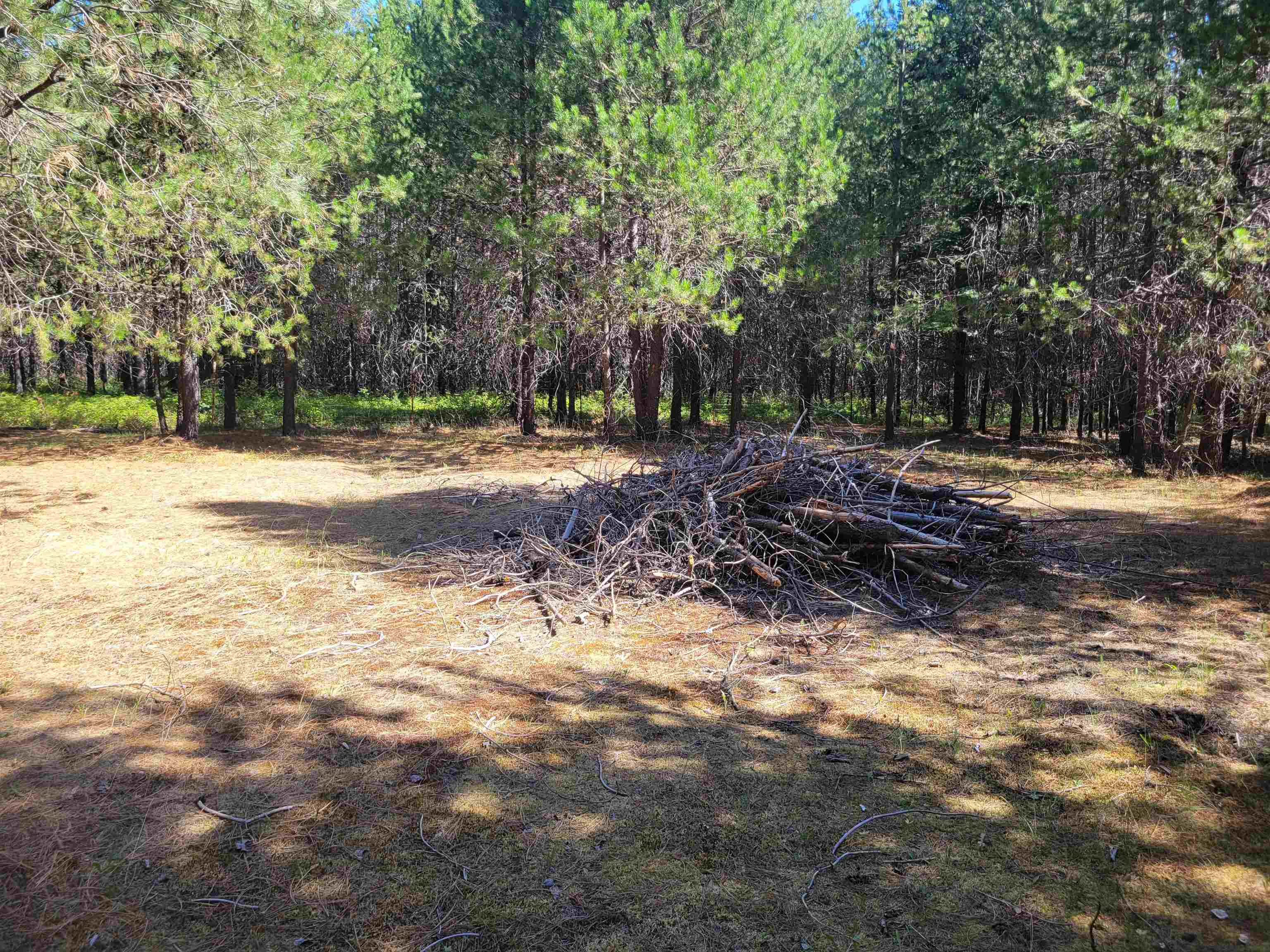 13209 East Bridges Road Elk, WA 99009 - Photo 19 of 19