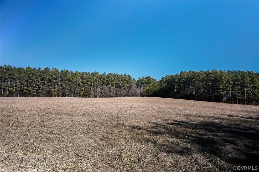 2251 Sandy Hook Road Goochland, VA 23063 - Photo 12 of 23 Gallery Image 12