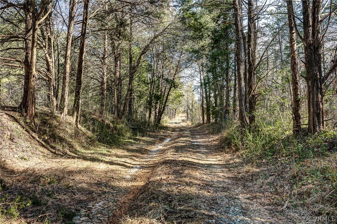 2251 Sandy Hook Road Goochland, VA 23063 - Photo 13 of 23 Gallery Image 13