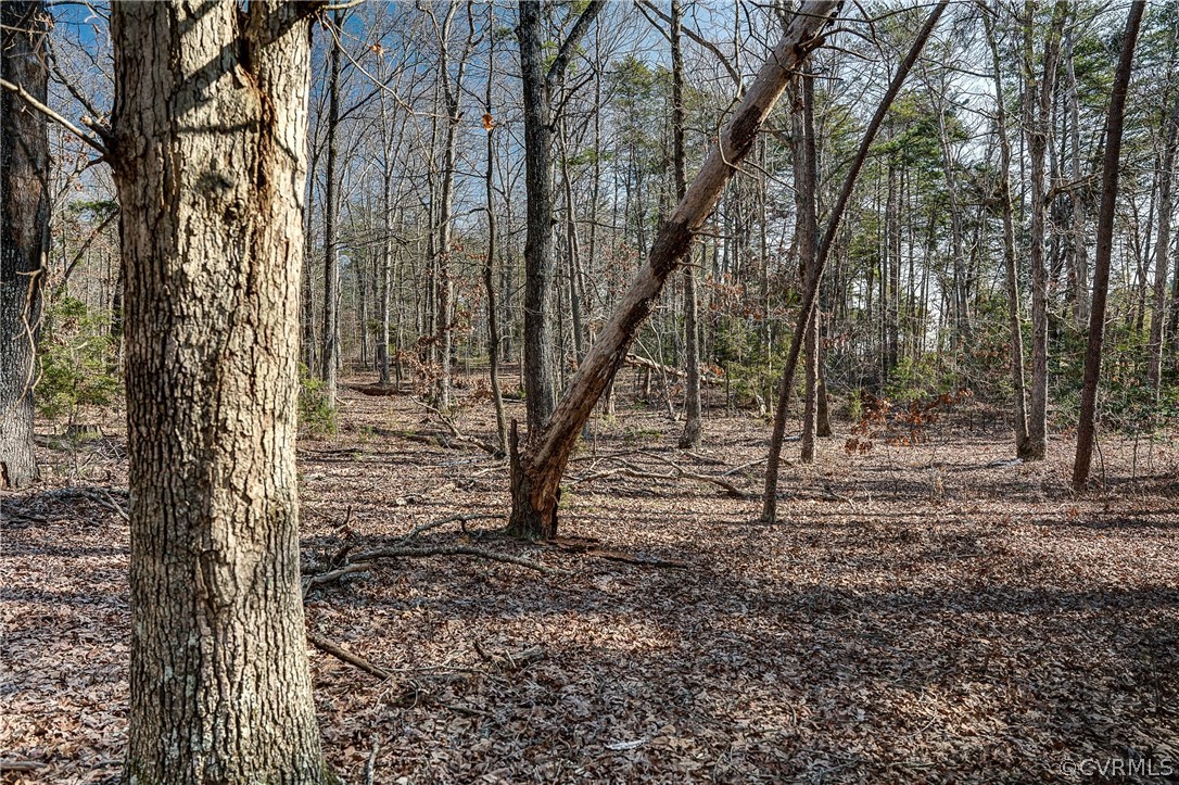 2251 Sandy Hook Road Goochland, VA 23063 - Photo 14 of 23 Gallery Image 14