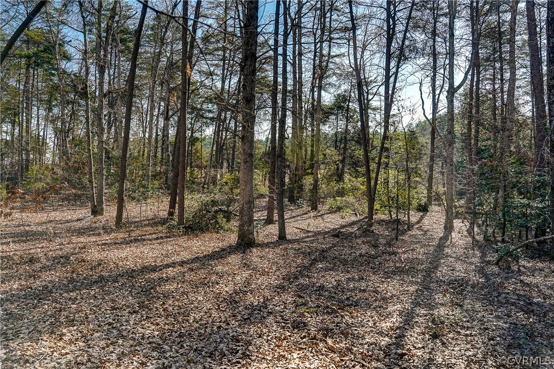 2251 Sandy Hook Road Goochland, VA 23063 - Photo 15 of 23 Gallery Image 15