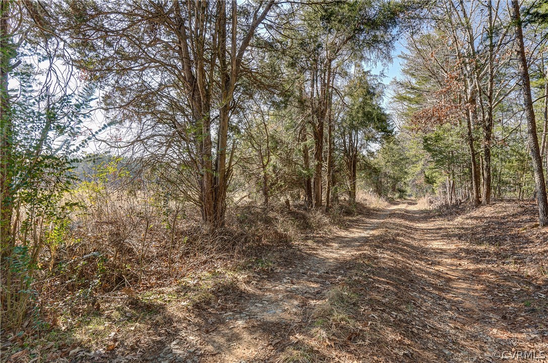 2251 Sandy Hook Road Goochland, VA 23063 - Photo 17 of 23 Gallery Image 17