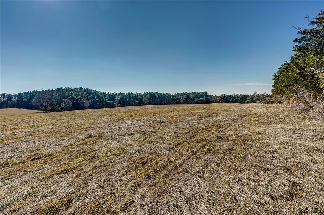 2251 Sandy Hook Road Goochland, VA 23063 - Photo 19 of 23 Gallery Image 19