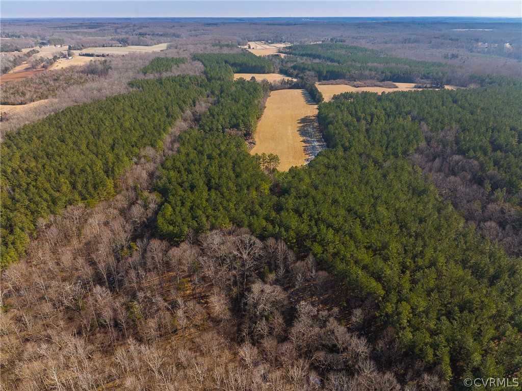 2251 Sandy Hook Road Goochland, VA 23063 - Photo 4 of 23 Gallery Image 4