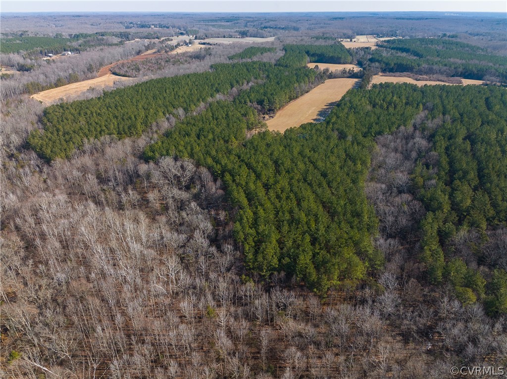2251 Sandy Hook Road Goochland, VA 23063 - Photo 5 of 23 Gallery Image 5