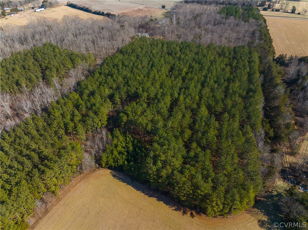 2251 Sandy Hook Road Goochland, VA 23063 - Photo 6 of 23 Gallery Image 6