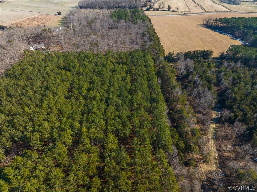 2251 Sandy Hook Road Goochland, VA 23063 - Photo 7 of 23 Gallery Image 7