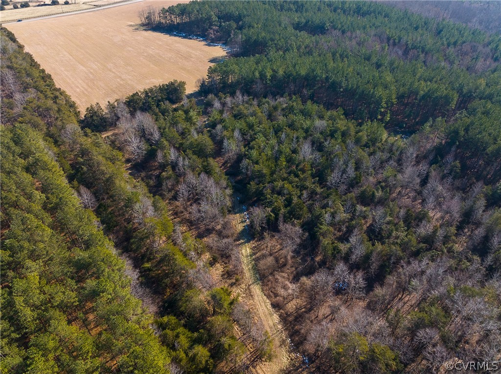 2251 Sandy Hook Road Goochland, VA 23063 - Photo 8 of 23 Gallery Image 8