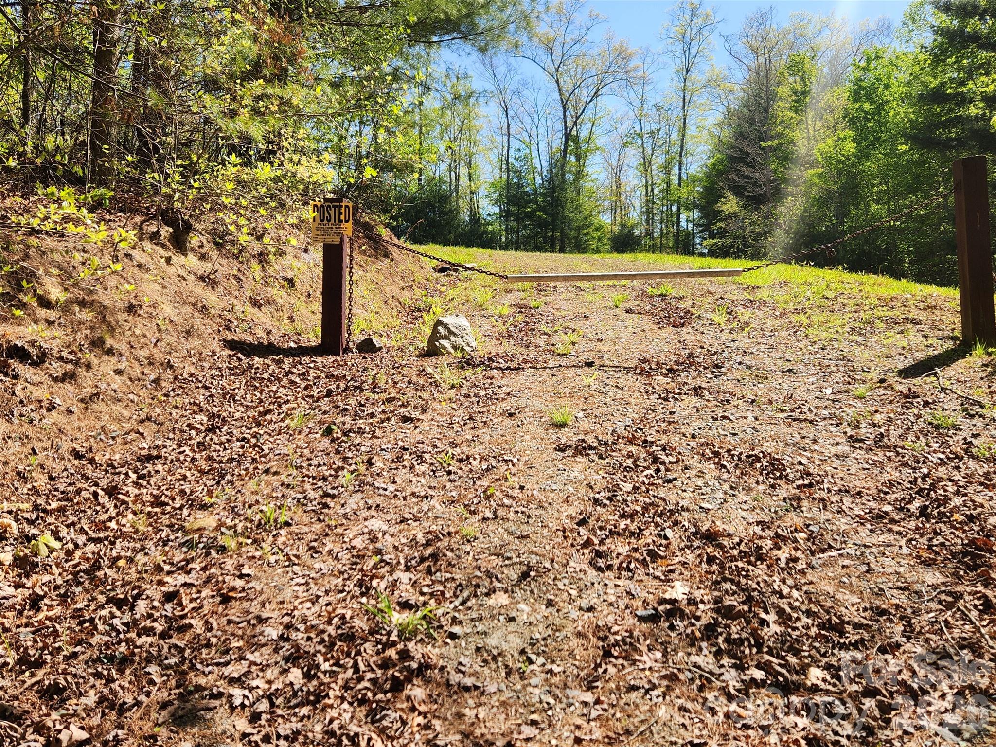 889 Firefly Trail Marshall, NC 28753 - Photo 16 of 35 a view of a yard with large trees