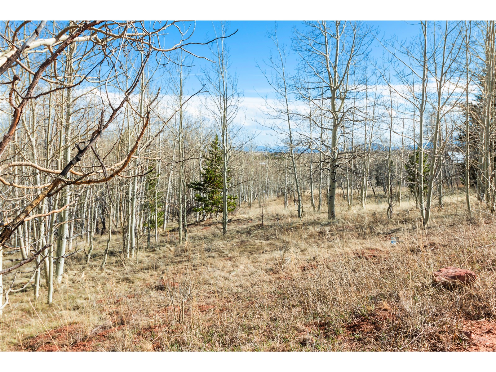 198 Lumberjack Road Fairplay, CO 80440 - Photo 2 of 6 Gallery Image 2