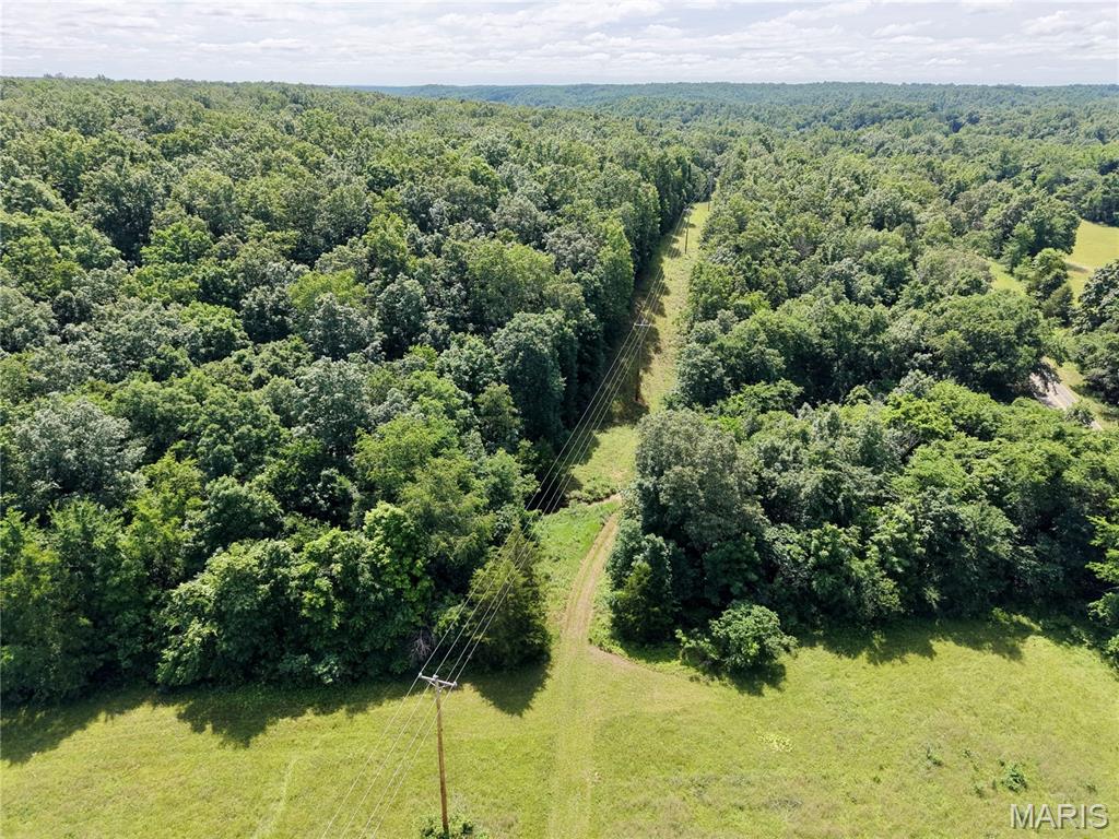 6483 Wayne Rte P Lowndes, MO 63951 - Photo 4 of 37