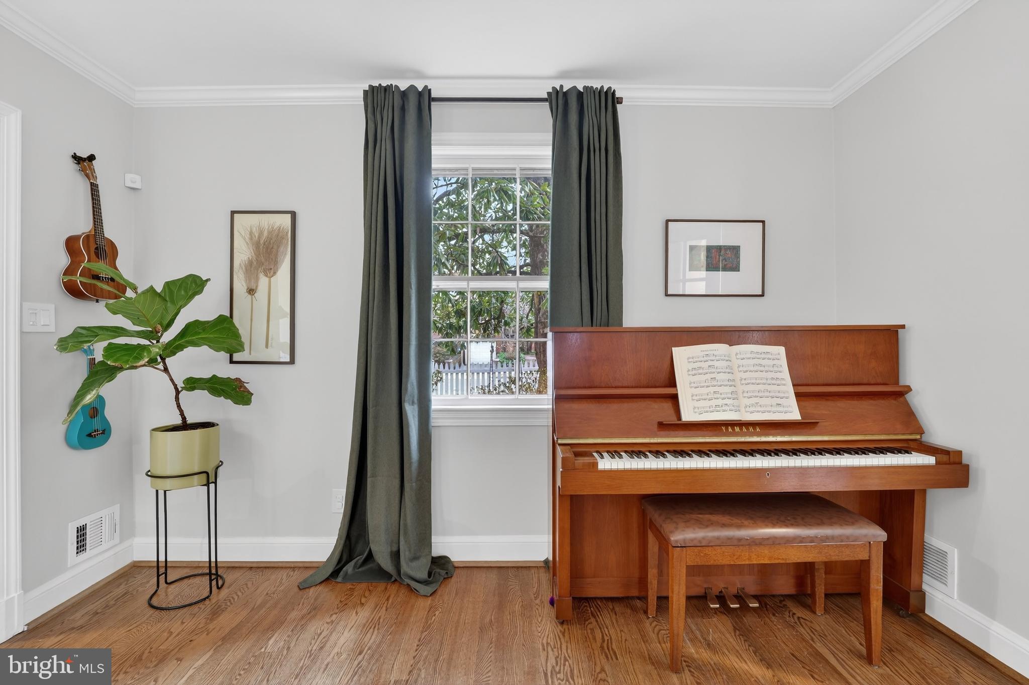 5445 30th Street Northwest Washington, DC 20015 - Photo 9 of 46 a living room with furniture and a potted plant