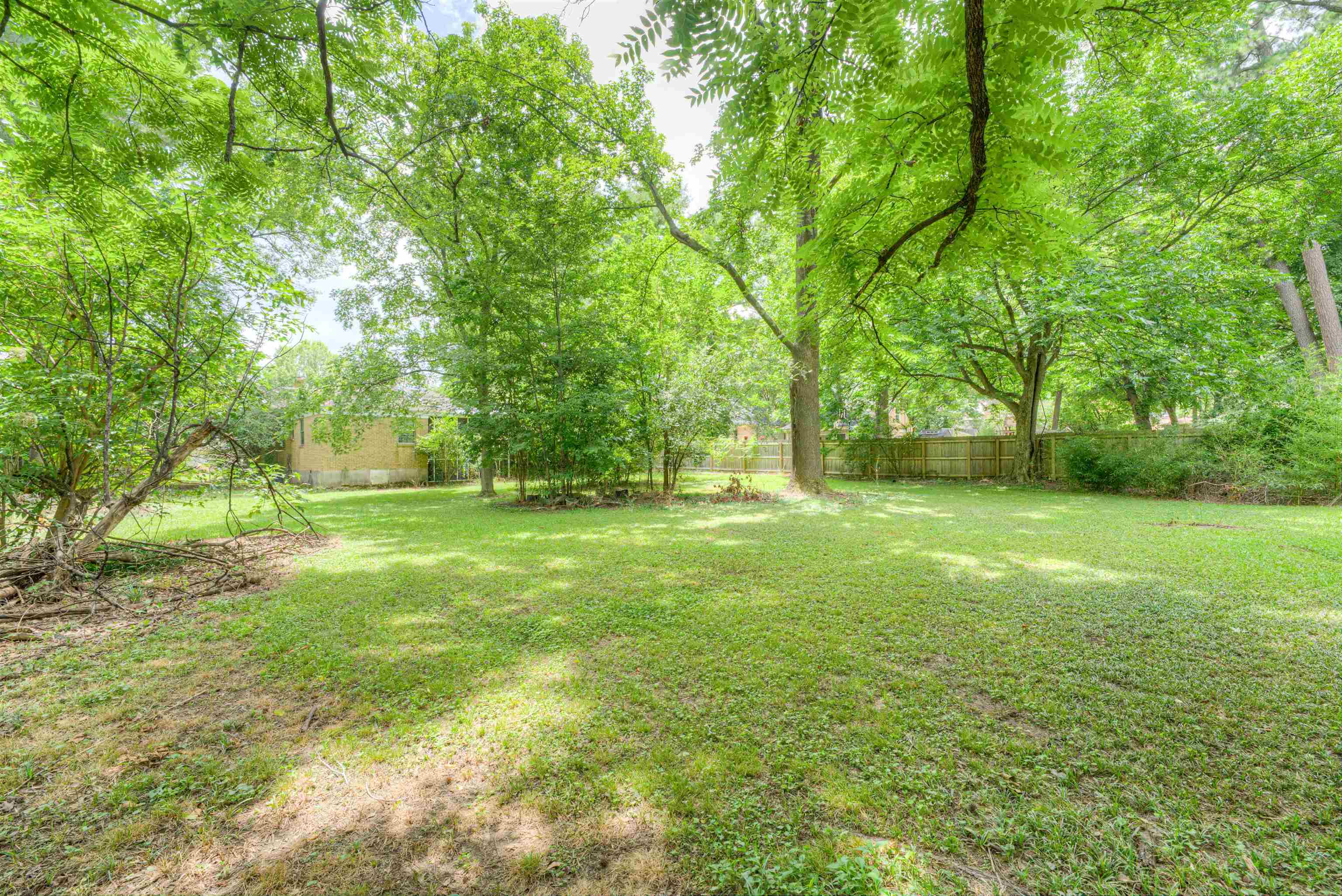 4972 Minden Road Memphis, TN 38117 - Photo 11 of 15 a view of yard with trees