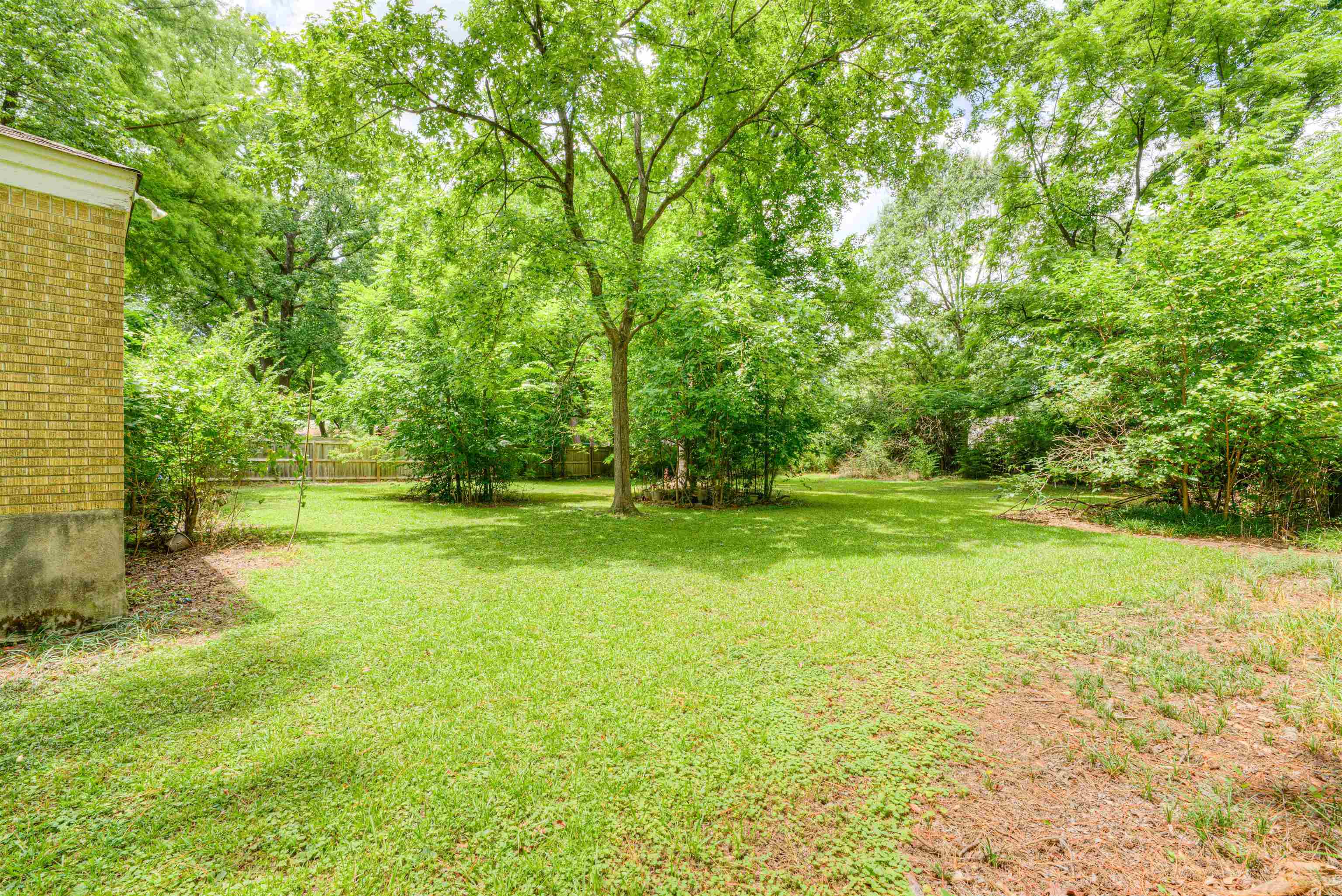 4972 Minden Road Memphis, TN 38117 - Photo 5 of 15 a view of a yard with a trees
