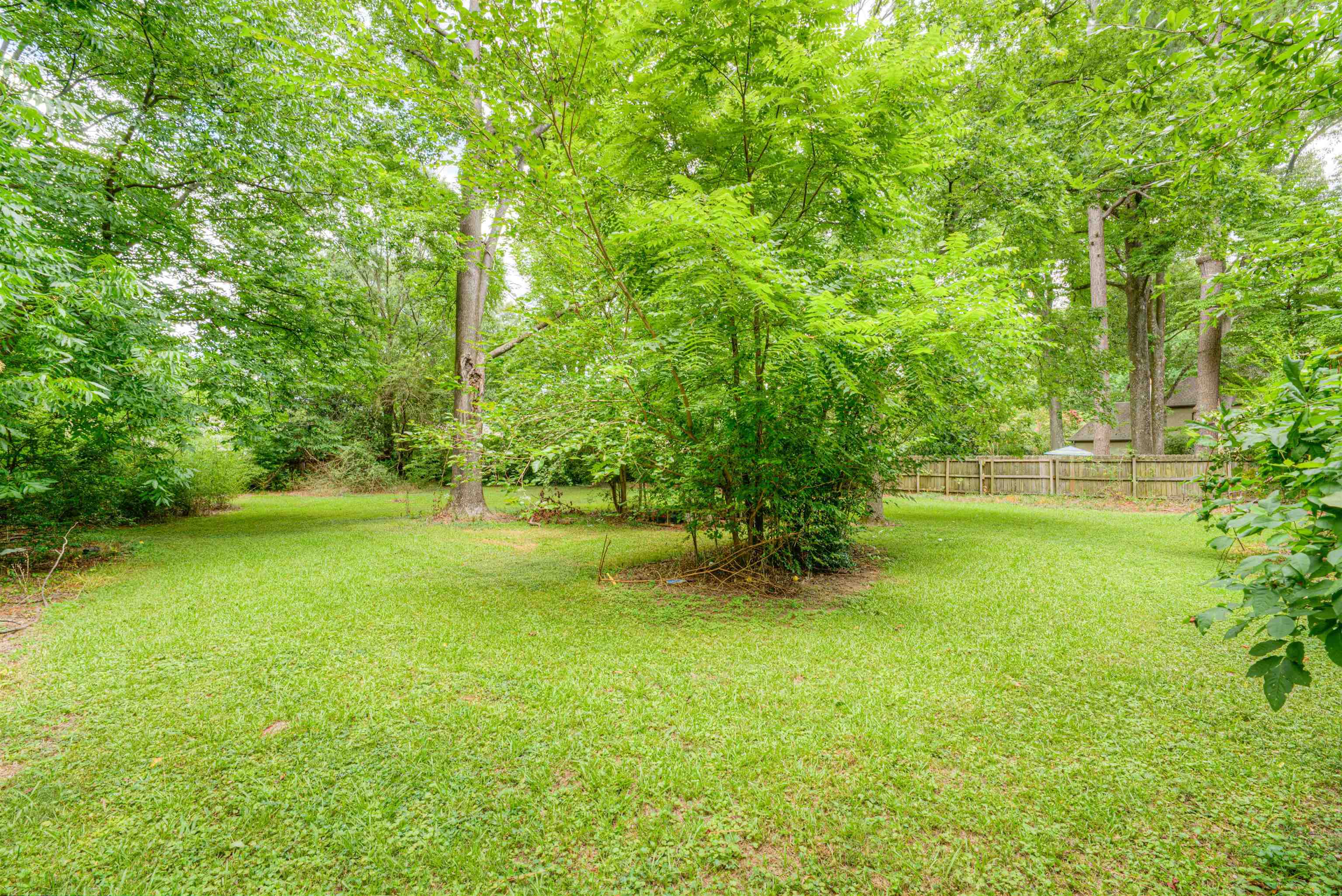 4972 Minden Road Memphis, TN 38117 - Photo 6 of 15 a view of yard with green space and trees in the background