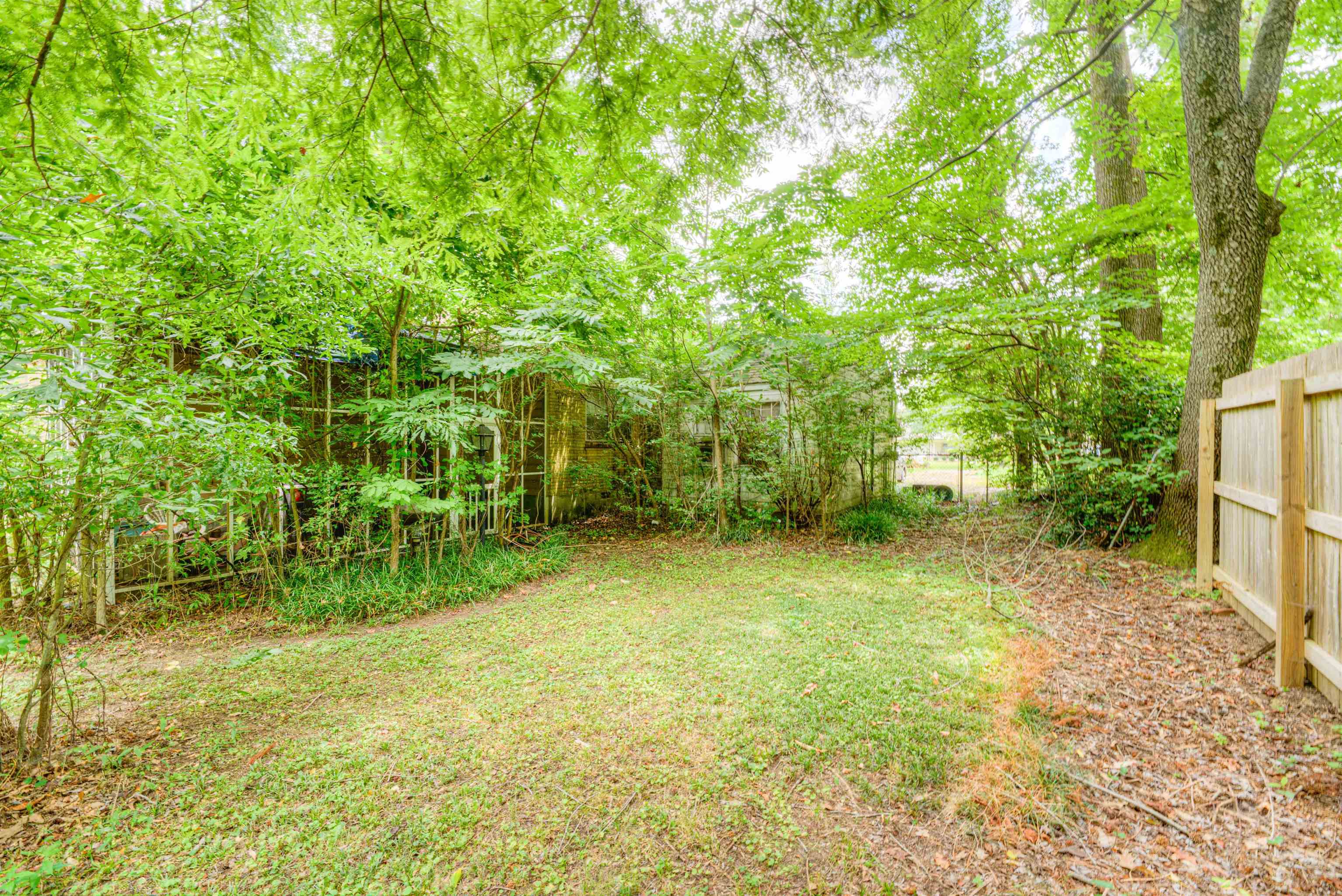 4972 Minden Road Memphis, TN 38117 - Photo 8 of 15 a view of a yard with plants and trees