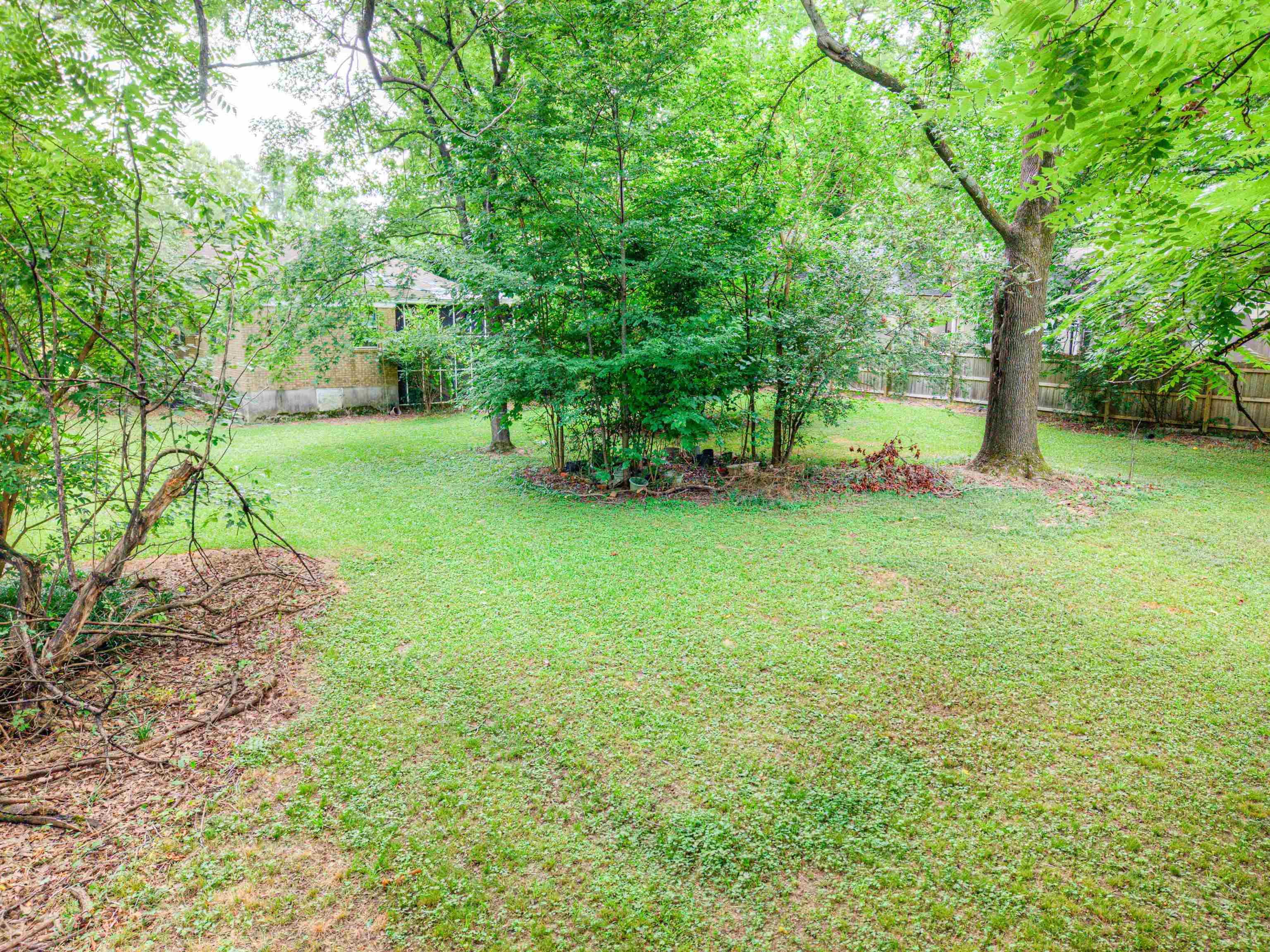 4972 Minden Road Memphis, TN 38117 - Photo 9 of 15 a view of a yard with a tree