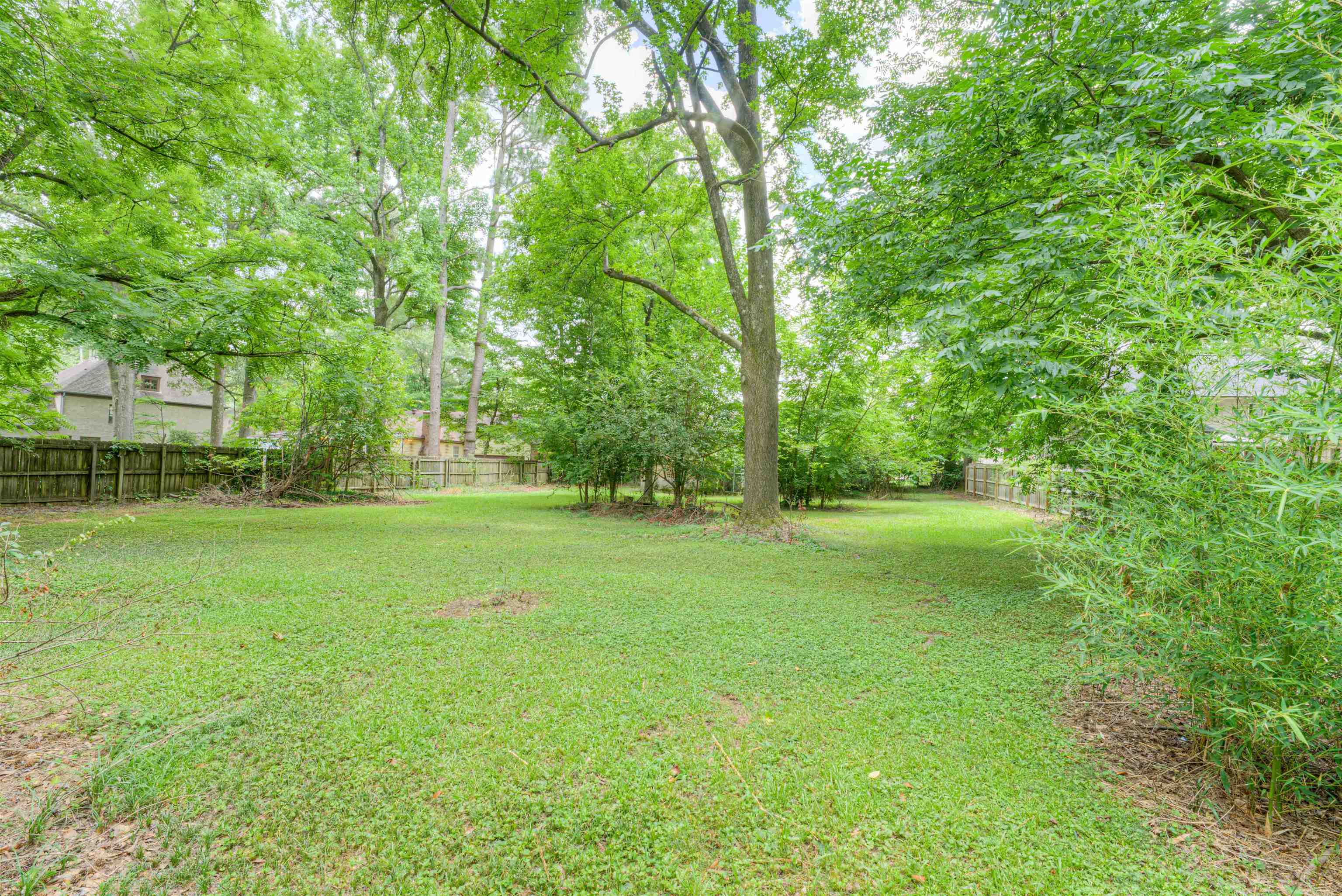 4972 Minden Road Memphis, TN 38117 - Photo 10 of 15 a view of a field with a tree in the background