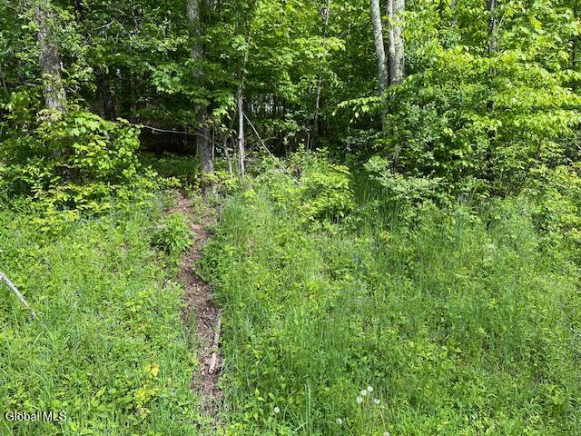 L9 Harrington Road Gilboa, NY 12076 - Photo 8 of 27 IMG_5399
