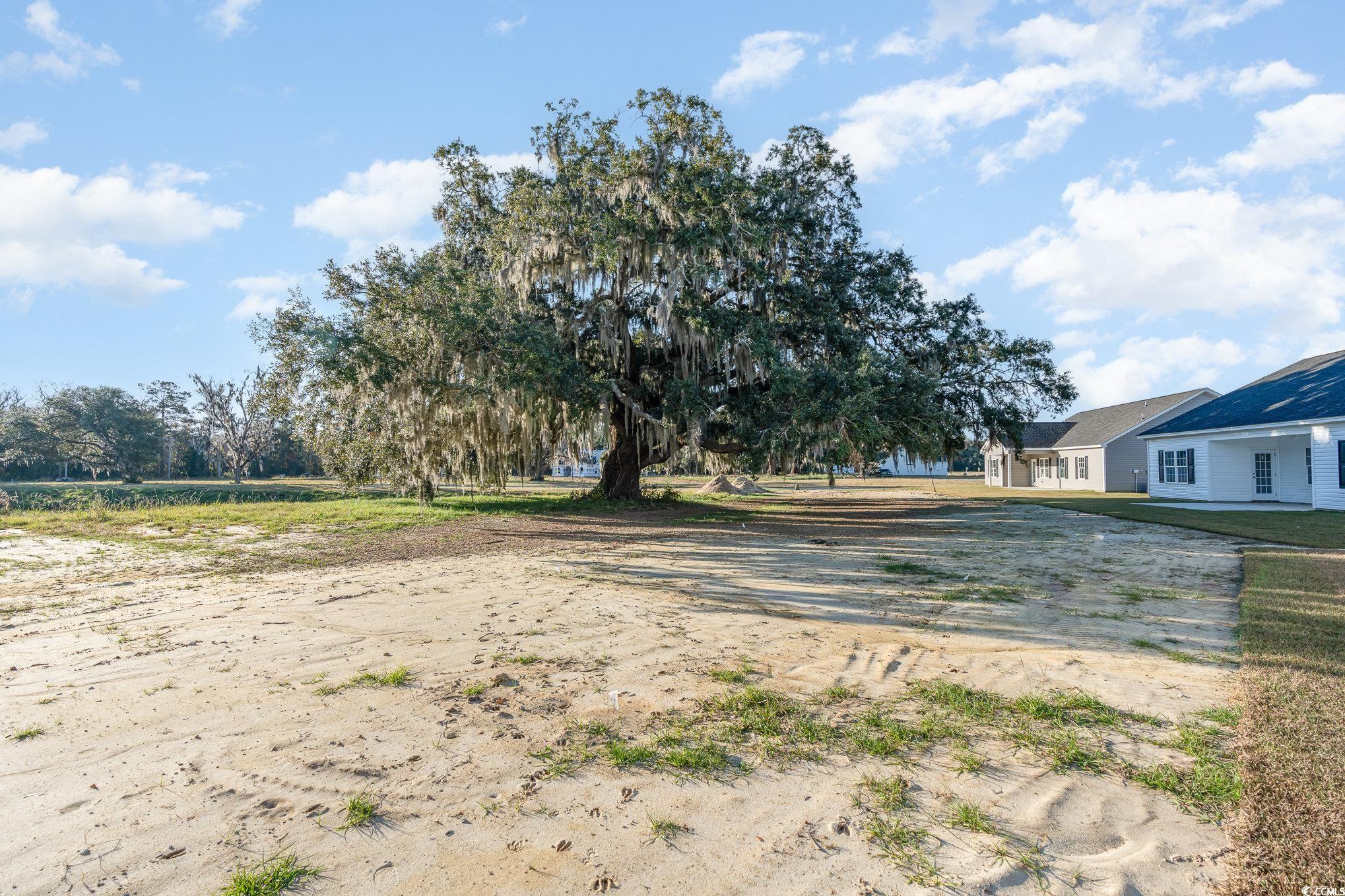 167 North Levee Drive Georgetown, SC 29440 - Photo 25 of 32