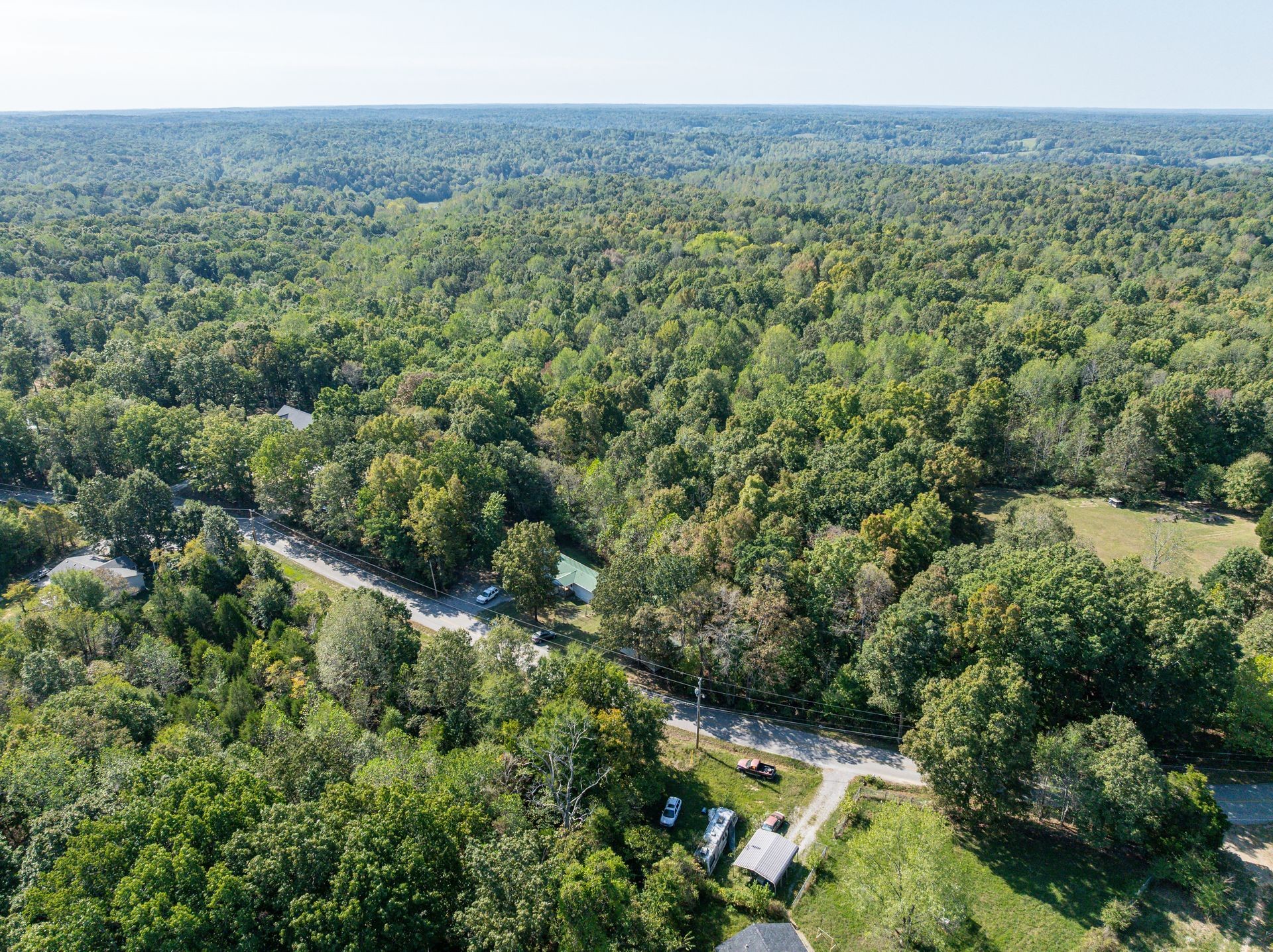 1810 Jim Kim Road Cunningham, TN 37052 - Photo 35 of 37 a view of a field with a tree
