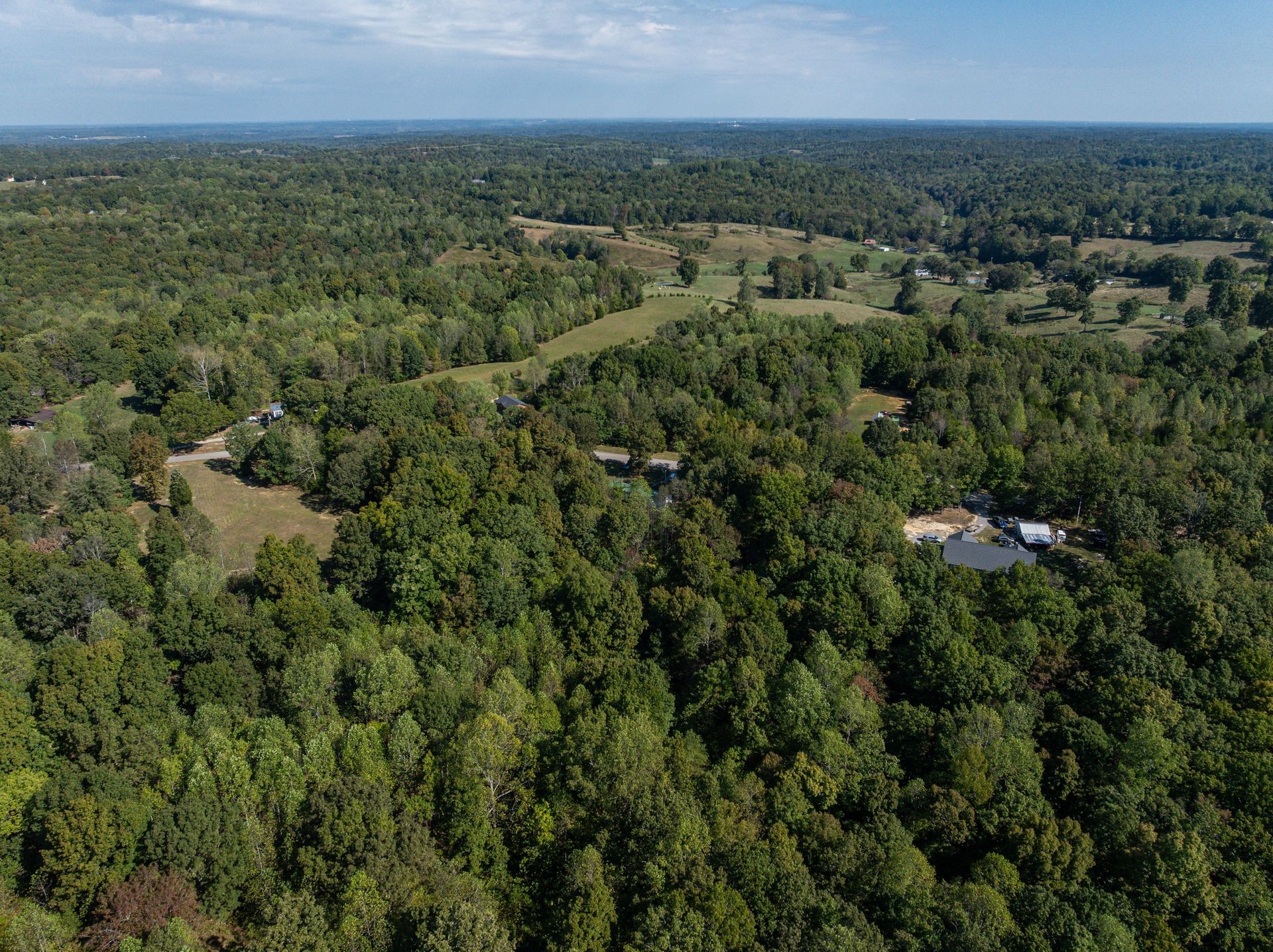 1810 Jim Kim Road Cunningham, TN 37052 - Photo 36 of 37 an aerial view of residential houses with outdoor and green space