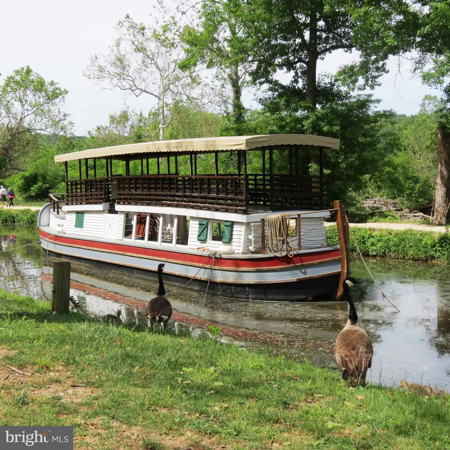 6 Thorne Road Cabin John, MD 20818 - Photo 32 of 39 Great Falls National Park close by