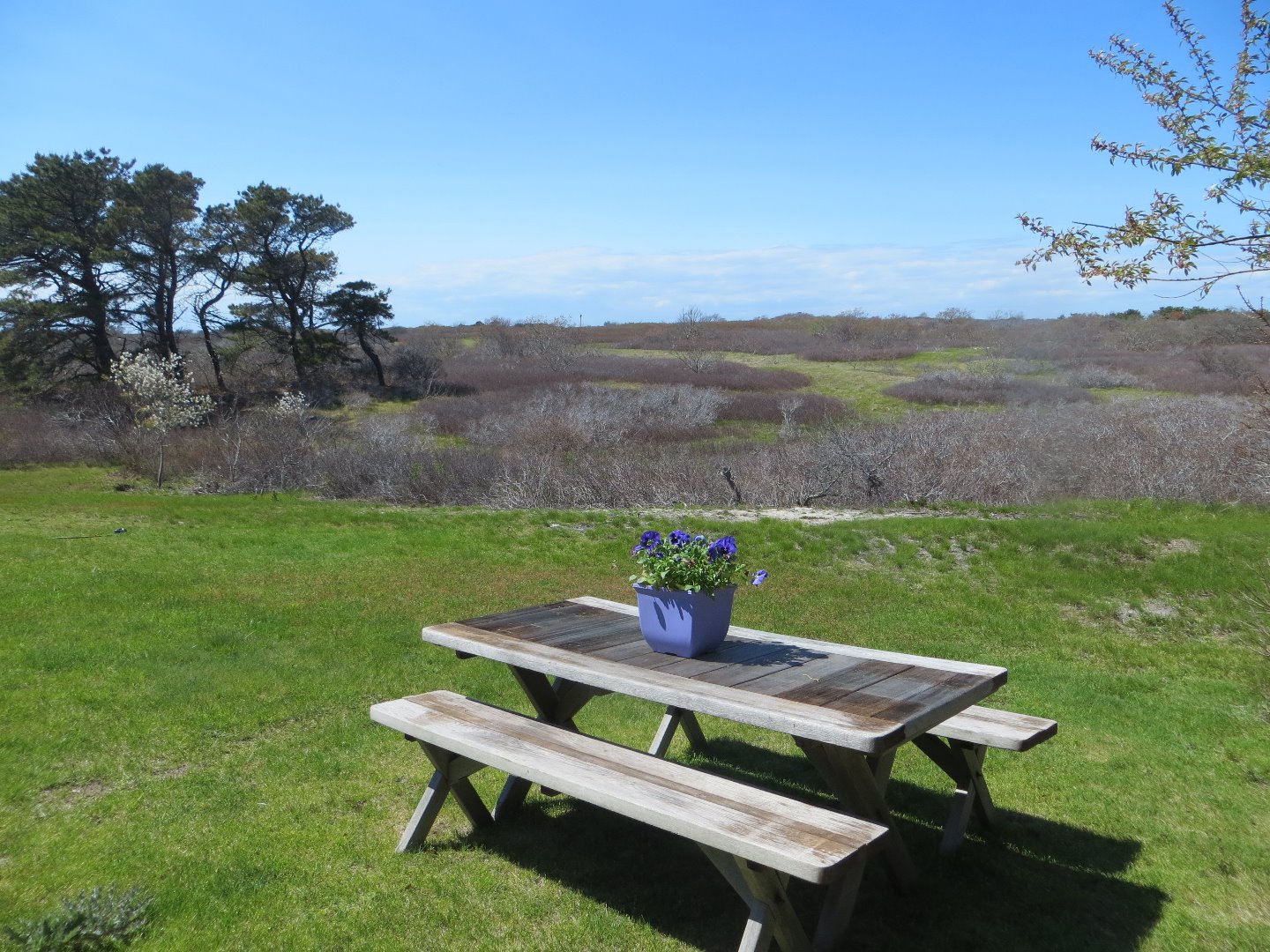 27 Ridge Lane Nantucket, MA 02554 - Photo 22 of 27 Gallery Image 22