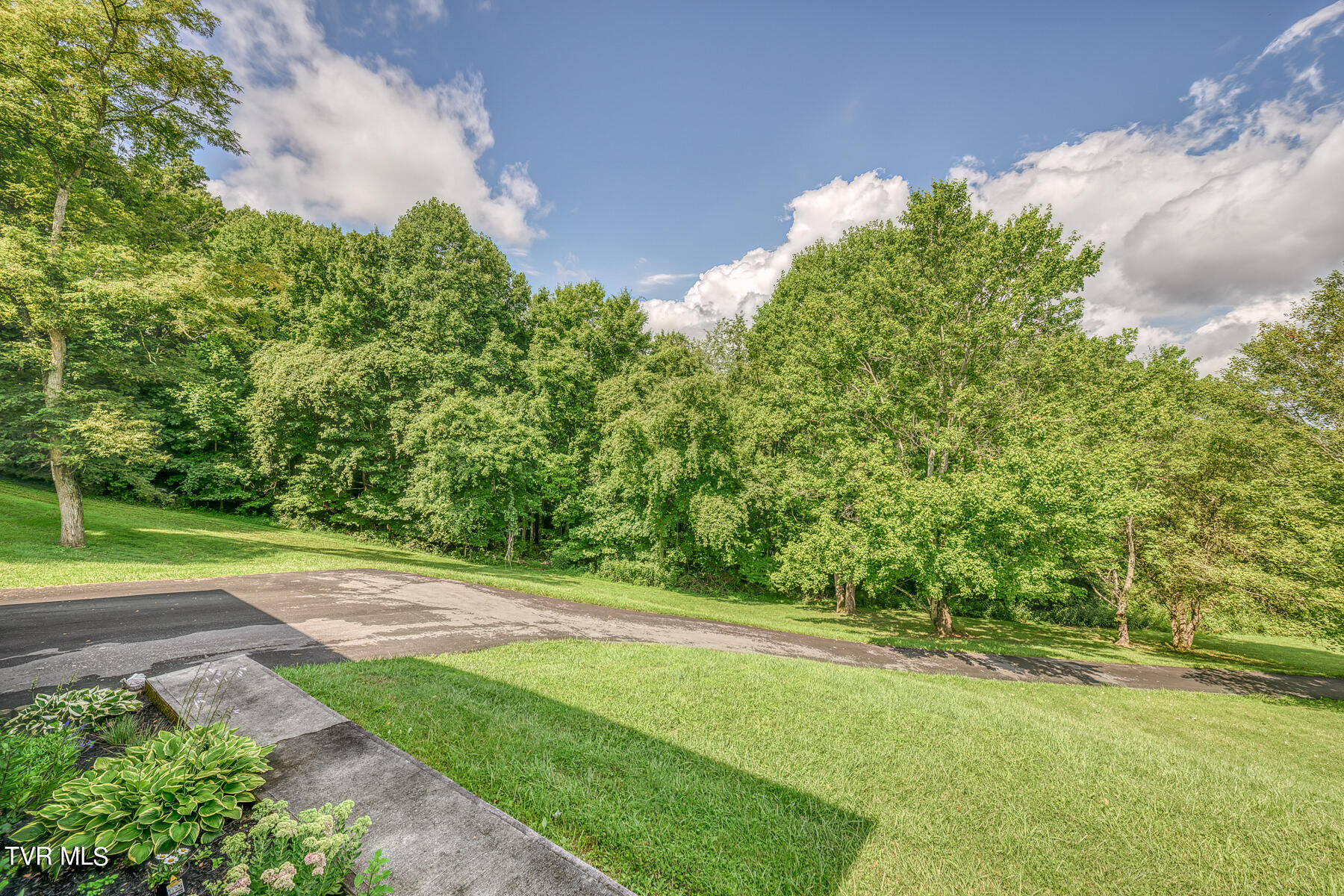 302 Spring Drive Cedar Bluff, VA 24609 - Photo 3 of 28 FRONT YARD 2