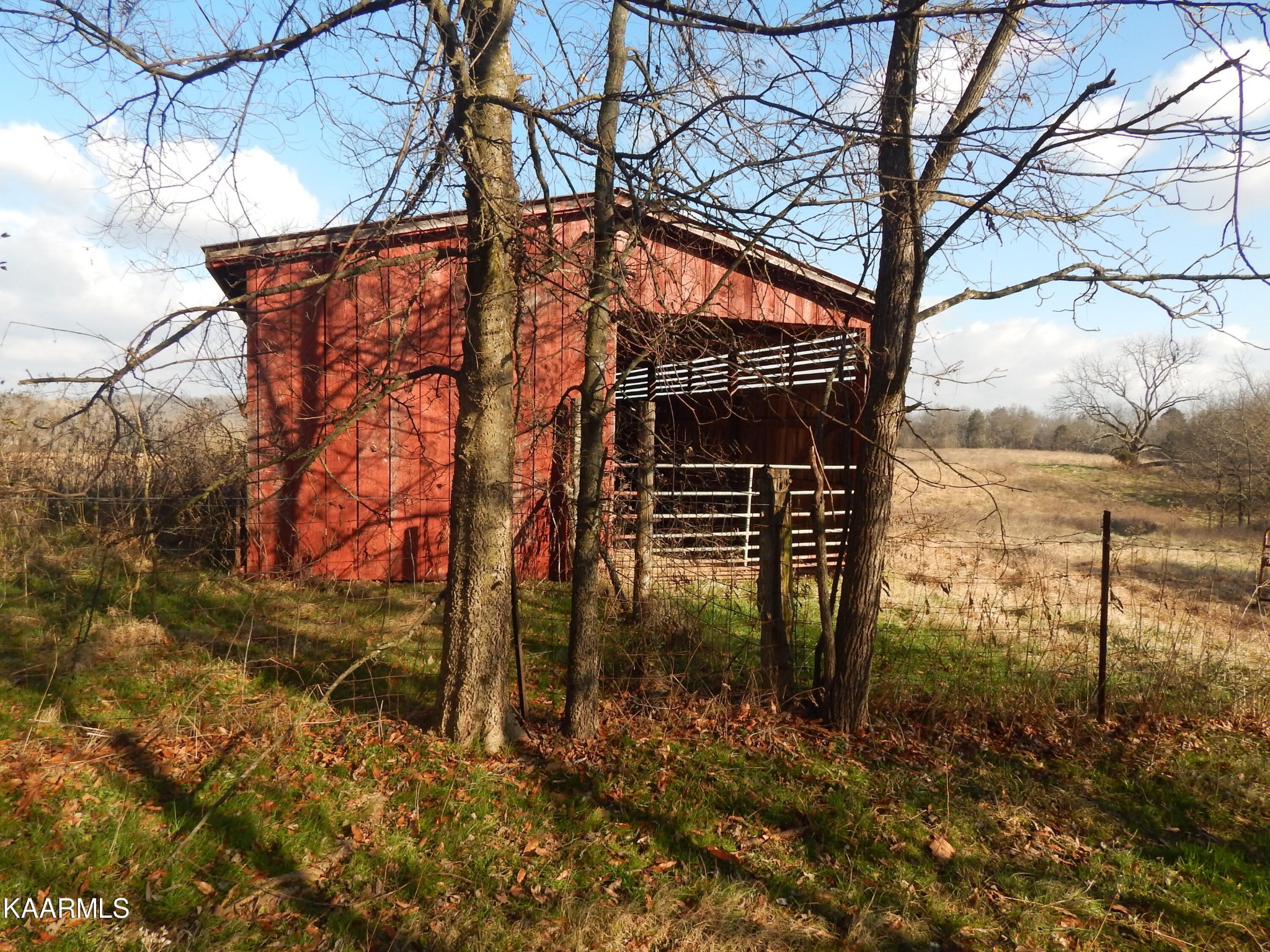 367 Reed Road Greeneville, TN 37745 - Photo 11 of 51 a backyard of a house with lots of green space