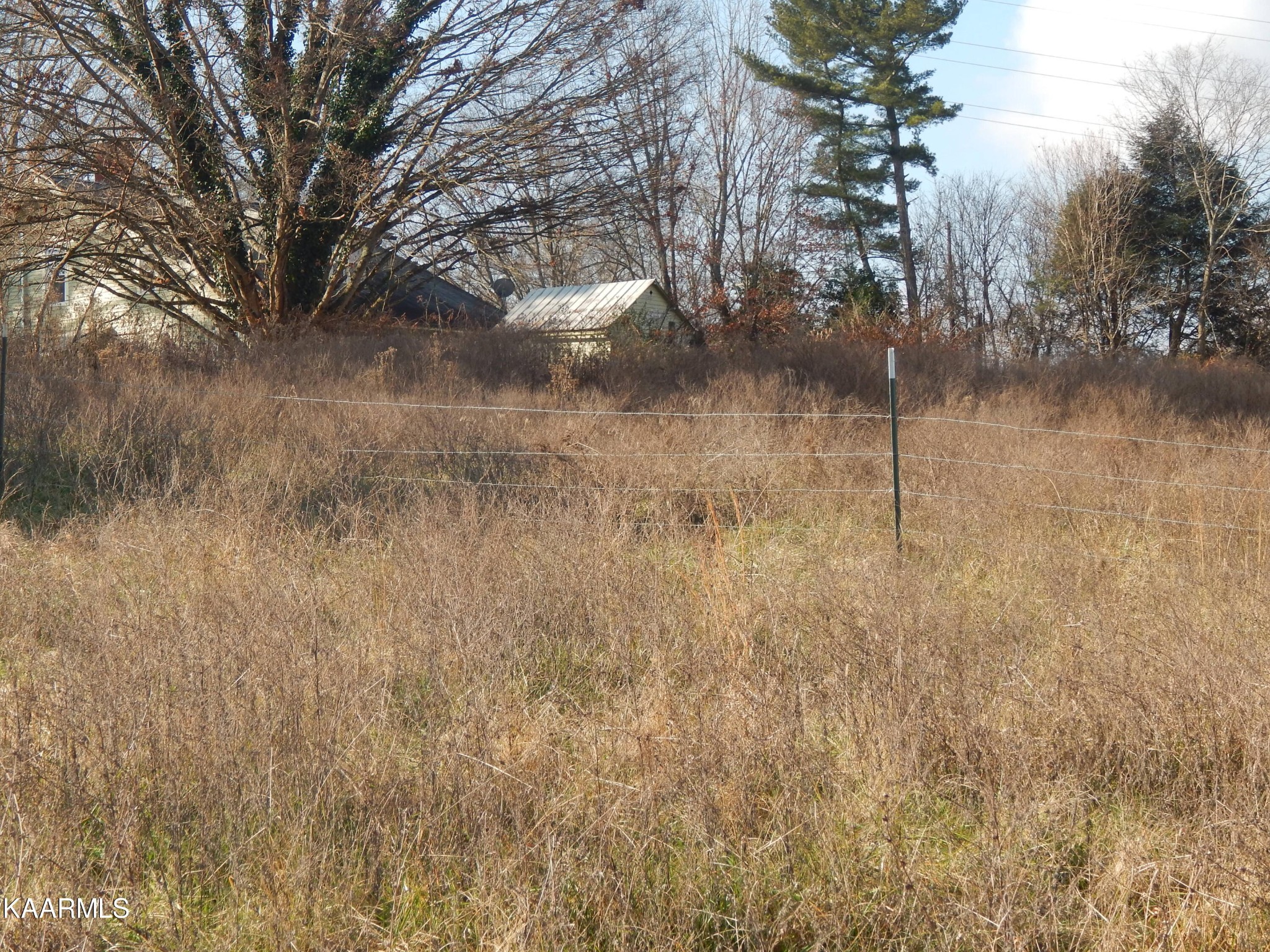 367 Reed Road Greeneville, TN 37745 - Photo 50 of 51 a view of a dry yard