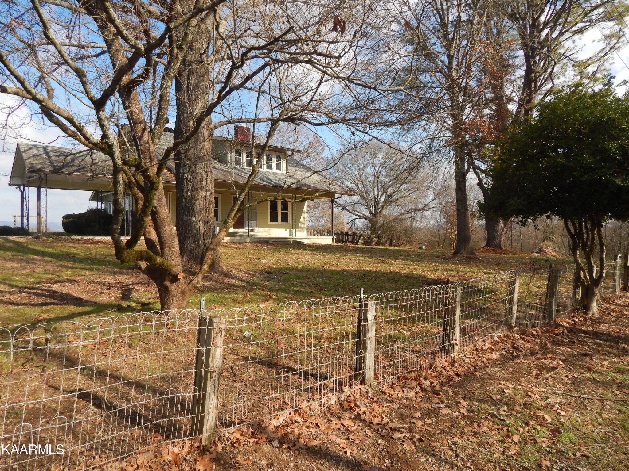 367 Reed Road Greeneville, TN 37745 - Photo 51 of 51 a view of a yard with snow on the tree