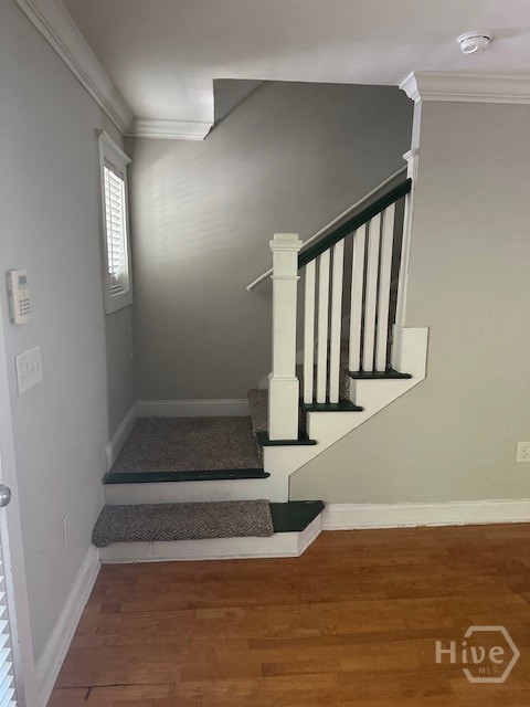 490 South Barnett Shoals Road, Unit 819 Athens, GA 30605 - Photo 7 of 14 Gallery Image 7