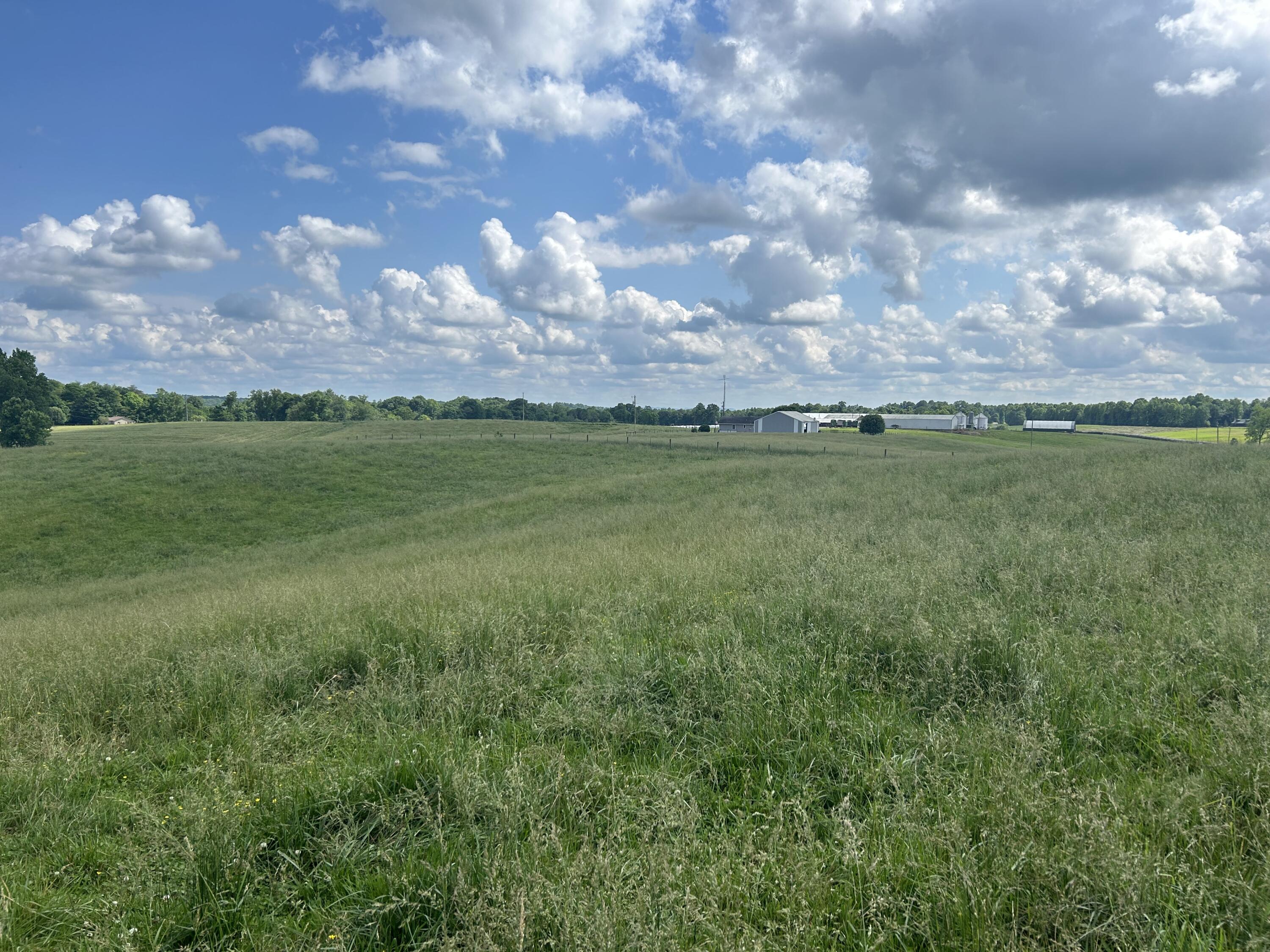 9999 Gosser Ridge Road Russell Springs, KY 42642 - Photo 5 of 42 Farm russell co 8