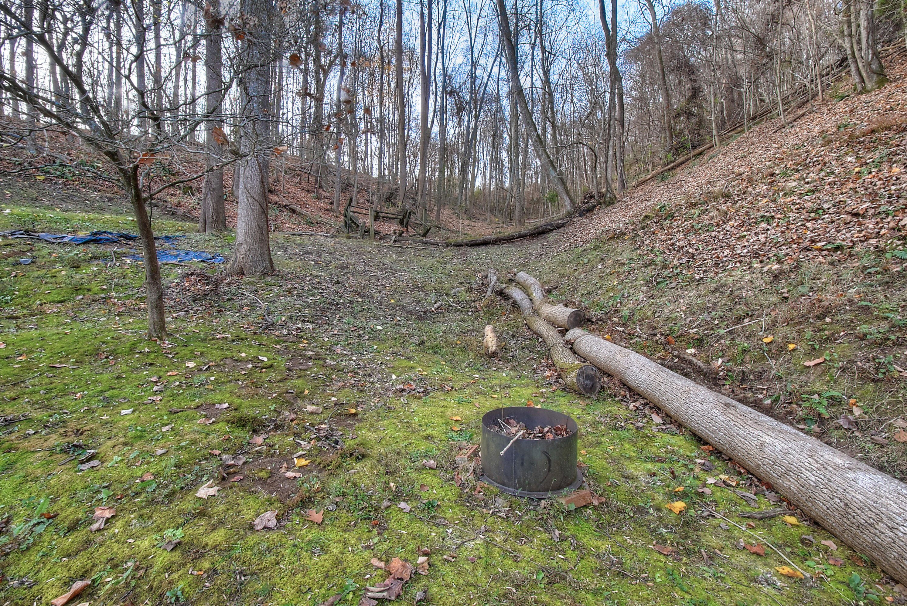 245 Buffalo Ridge Road Gray, TN 37615 - Photo 35 of 53 DSC_0340_1_2_3_4_5